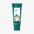 Pine Calming Cica Crema Plus